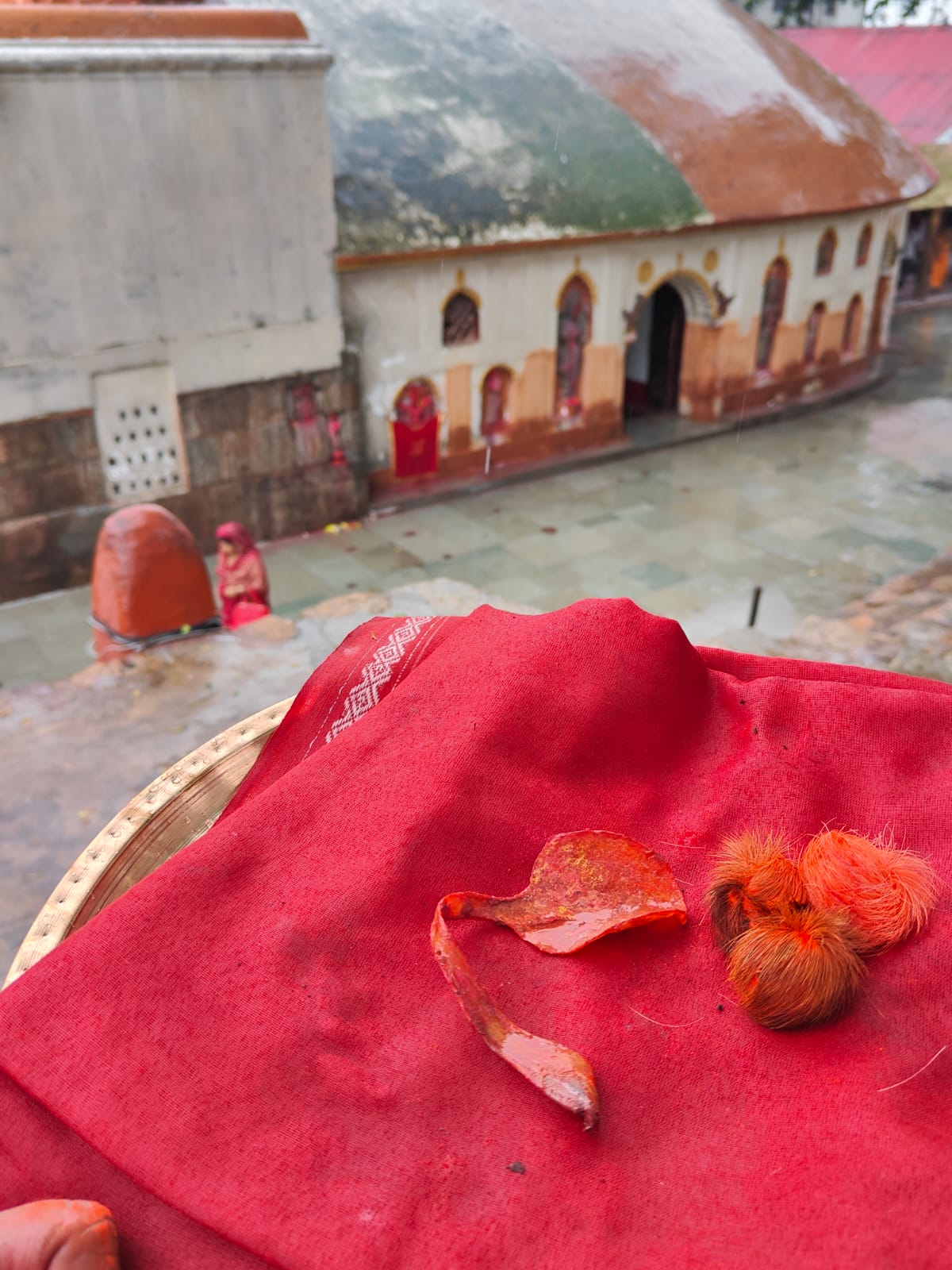 Original & Siddha Siyar Singhi – Gidar Singhi Siddha by Kamakhya Shakti peeth Rituals