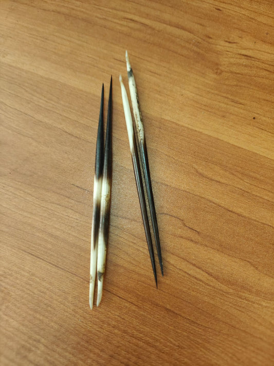 Abhimantrit Sahi Ka Kanta | शाही का कांटा | साही का कांटा | Original & Natural Porcupine Quills 5 Inch