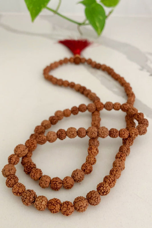 Primium 5 mukhi Nepali pathariya rudraksha mala