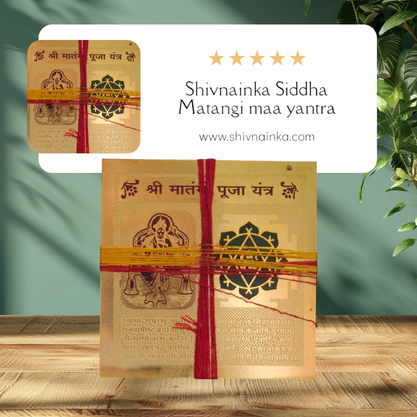 Shivnainka Siddha Maa Matangi yantra
