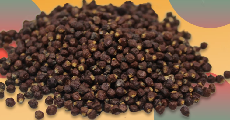 Alligator pepper seeds